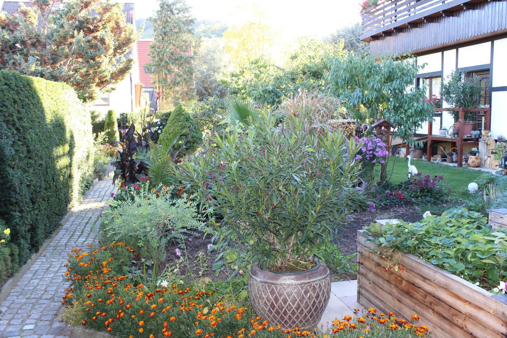 Ferienobjekte Familie Beck Apartment แบลงเคนบวร์ก ภายนอก รูปภาพ