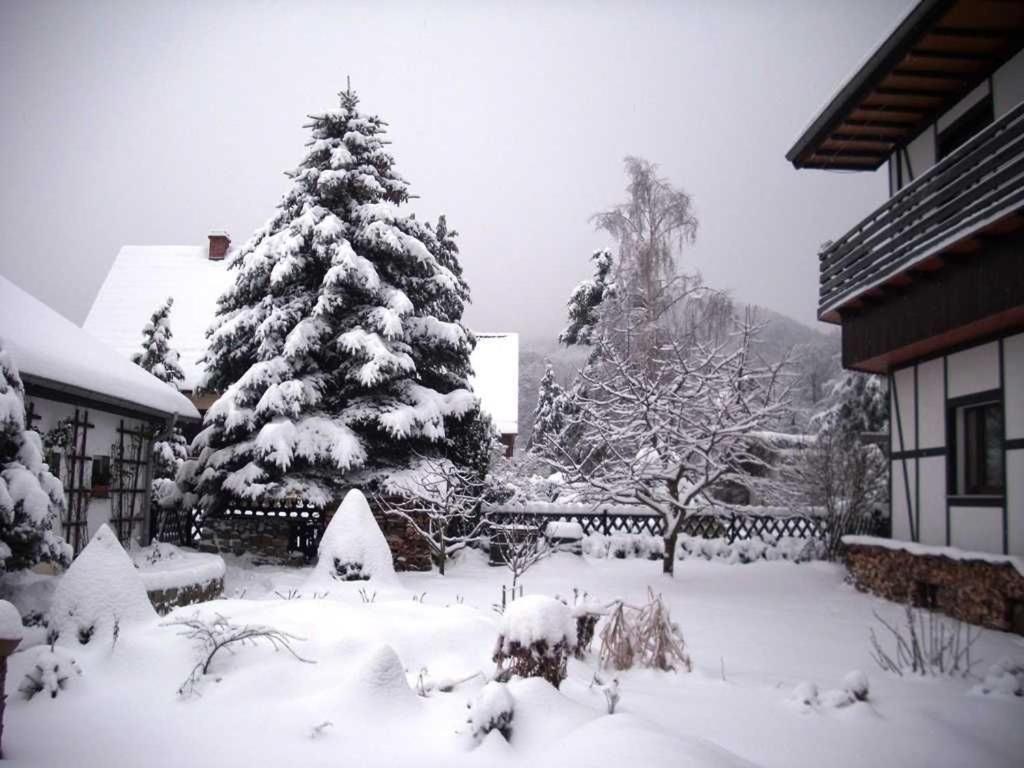 Ferienobjekte Familie Beck Apartment แบลงเคนบวร์ก ภายนอก รูปภาพ